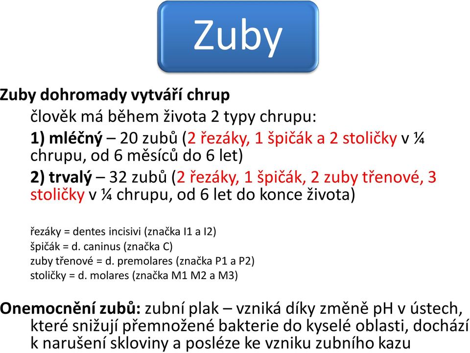 I1 a I2) špičák = d. caninus (značka C) zuby třenové = d. premolares (značka P1 a P2) stoličky = d.