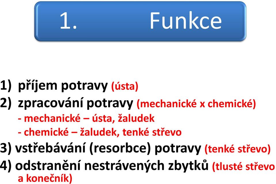 žaludek, tenké střevo 3) vstřebávání (resorbce) potravy (tenké