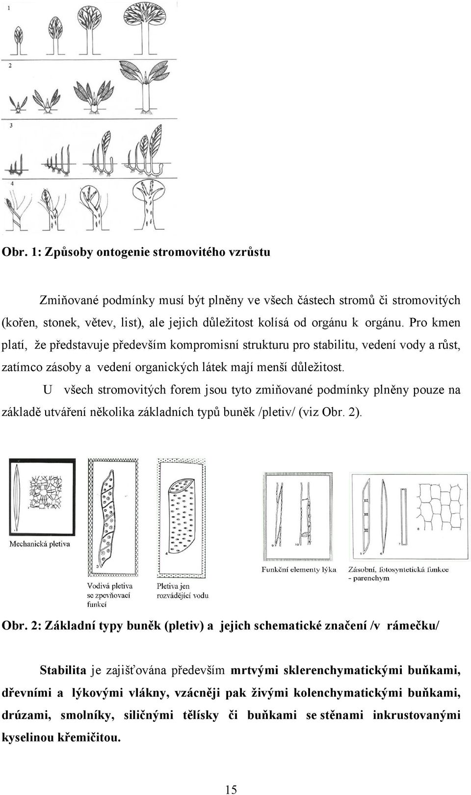 U všech stromovitých forem jsou tyto zmiňované podmínky plněny pouze na základě utváření několika základních typů buněk /pletiv/(viz Obr.