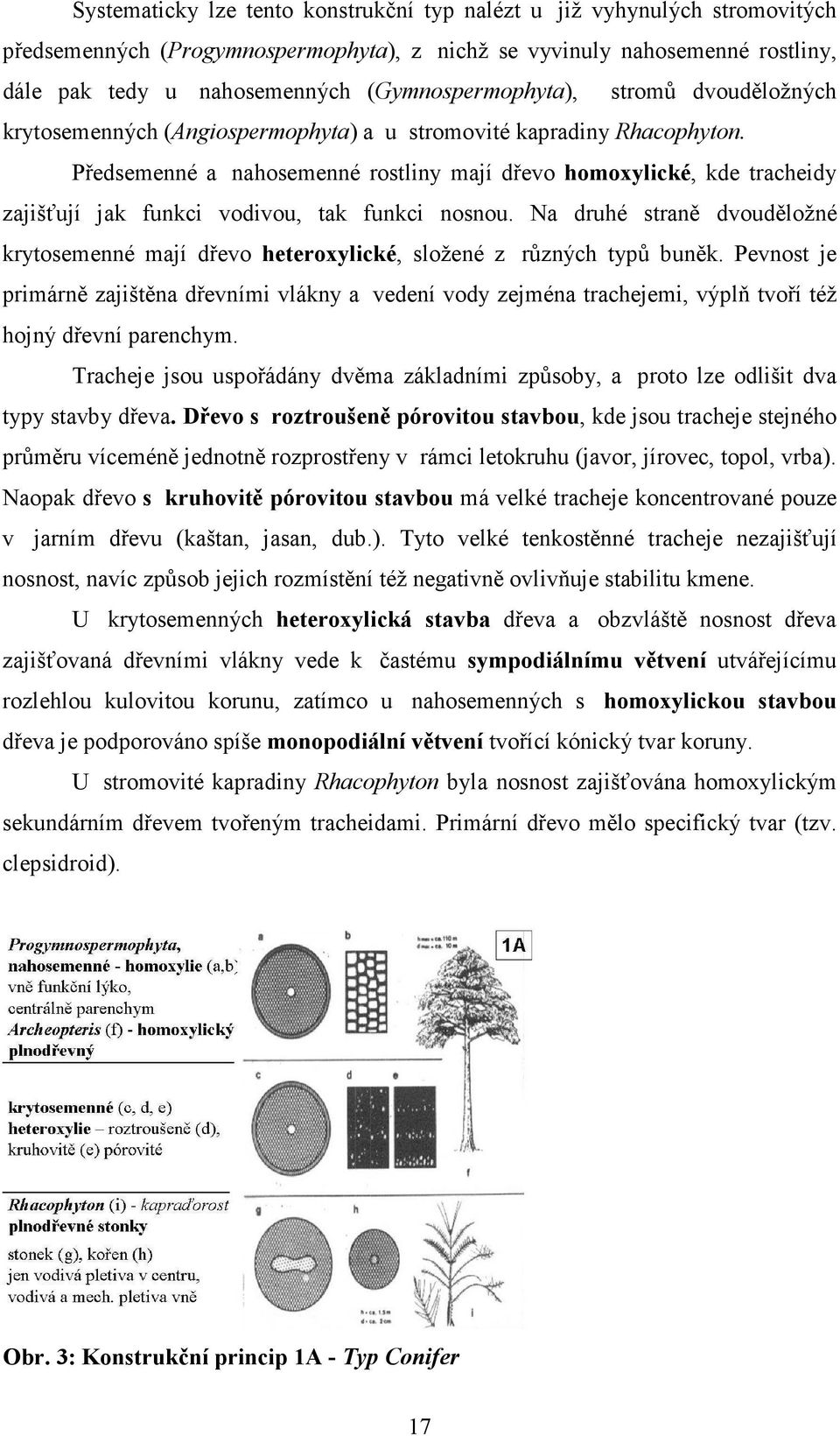 Předsemenné a nahosemenné rostliny mají dřevo homoxylické, kde tracheidy zajišťují jak funkci vodivou, tak funkci nosnou.