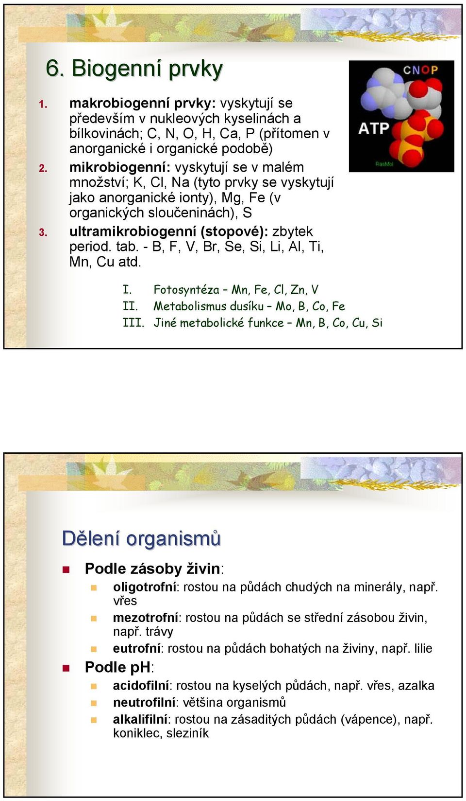 - B, F, V, Br, Se, Si, Li, Al, Ti, Mn, Cu atd. I. Fotosyntéza Mn, Fe, Cl, Zn, V II. Metabolismus dusíku Mo, B, Co, Fe III.