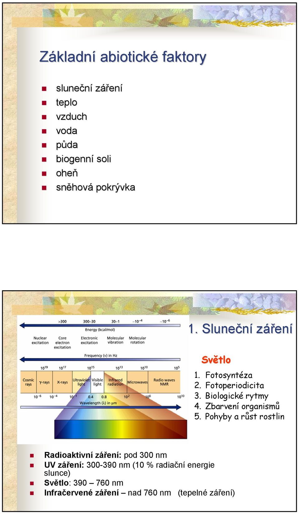 Zbarvení organismů 5.