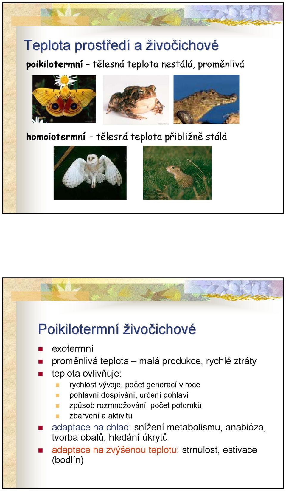 vývoje, počet generací v roce pohlavní dospívání, určení pohlaví způsob rozmnožování, počet potomků zbarvení a aktivitu