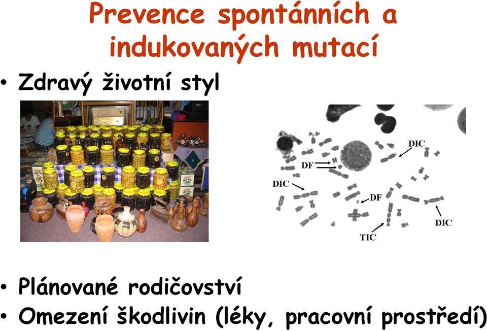 životní styl Plánované