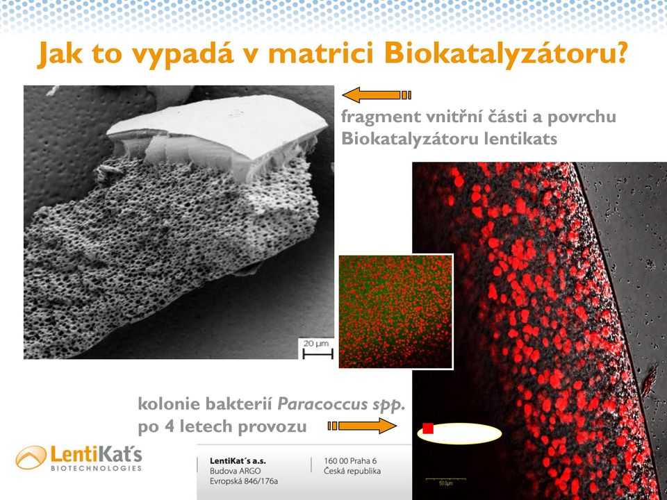 fragment vnitřní části a povrchu