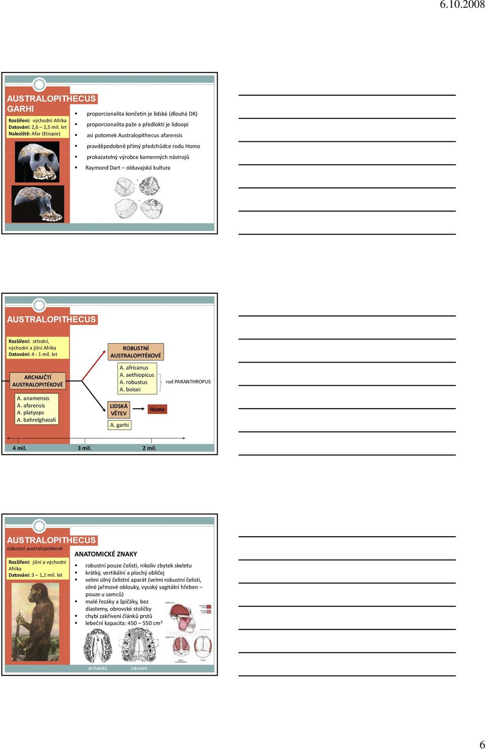 Homo prokazatelný výrobce kamenných nástrojů Raymond Dart olduvajská kultura ARCHAIČTÍ A. anamensis A. afarensis A. platyops A. bahrelghazali ROBUSTNÍ A. africanus A. aethiopicus i A. robustus A.