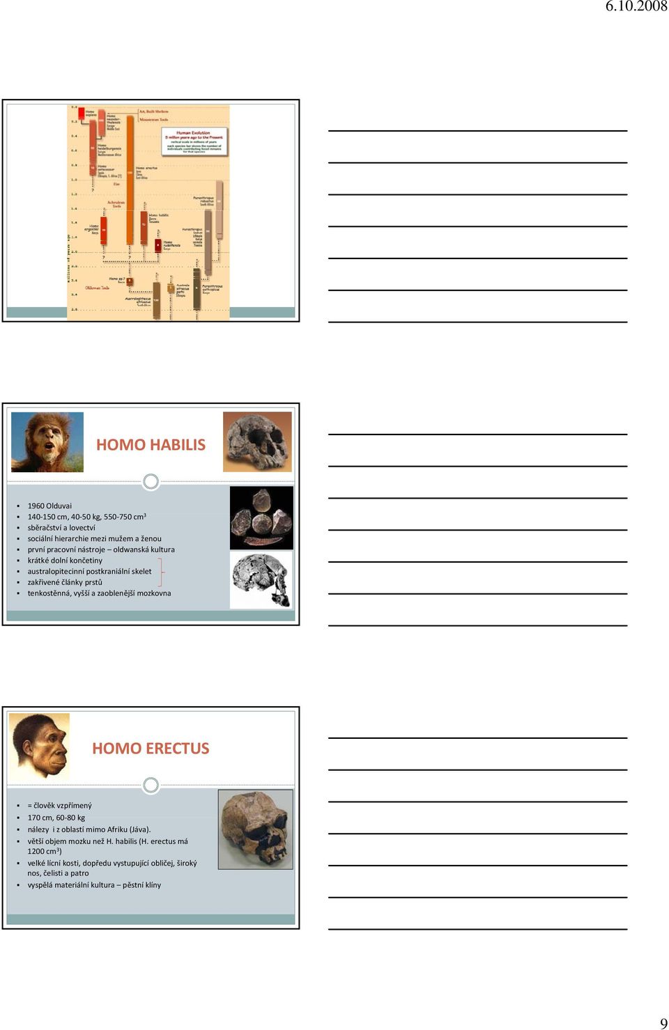 a zaoblenější mozkovna HOMO ERECTUS = člověk vzpřímený 170 cm, 60 80 kg nálezy i z oblastí mimo Afriku (Jáva). větší objem mozku než H.