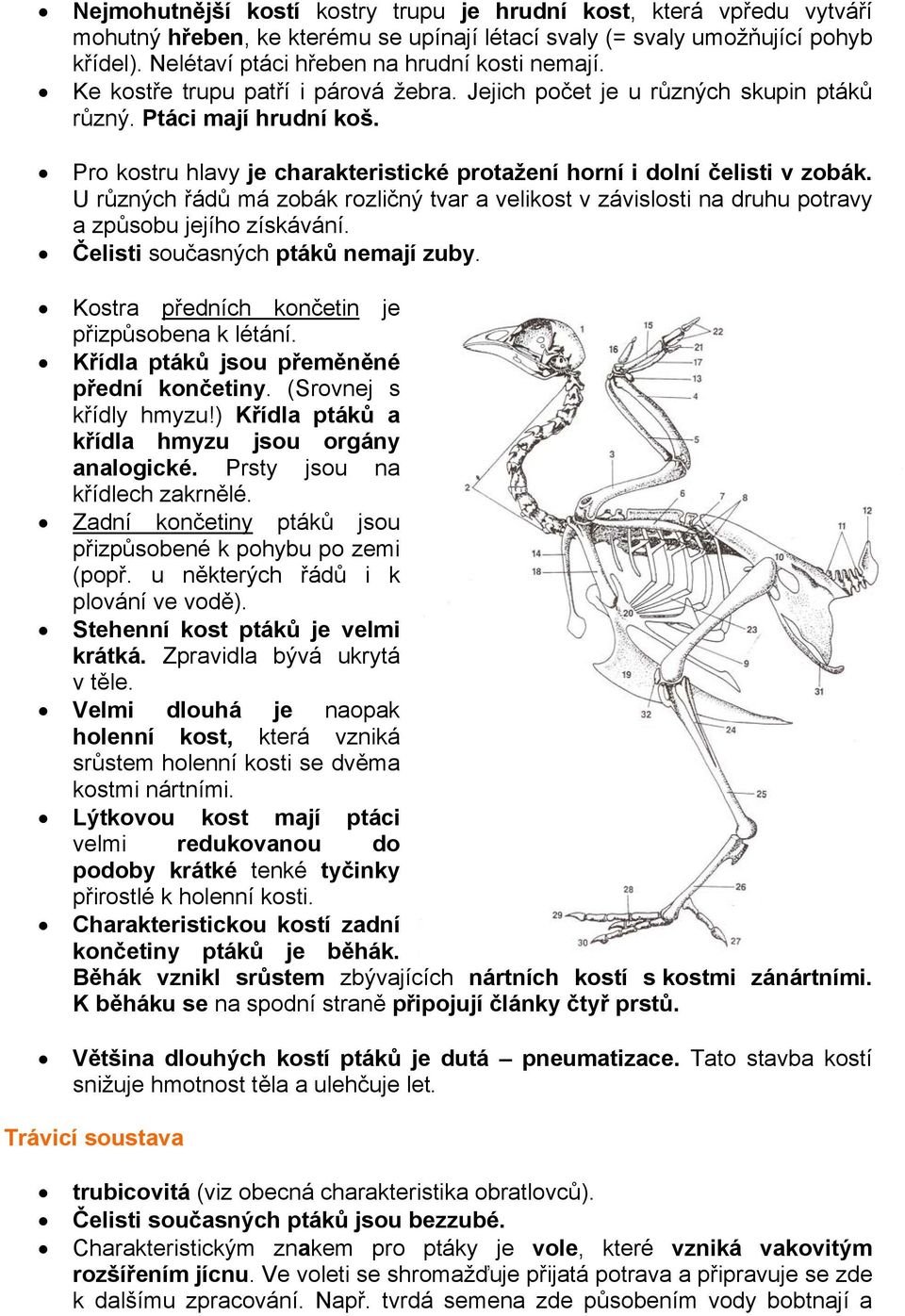 Pro kostru hlavy je charakteristické protažení horní i dolní čelisti v zobák. U různých řádů má zobák rozličný tvar a velikost v závislosti na druhu potravy a způsobu jejího získávání.