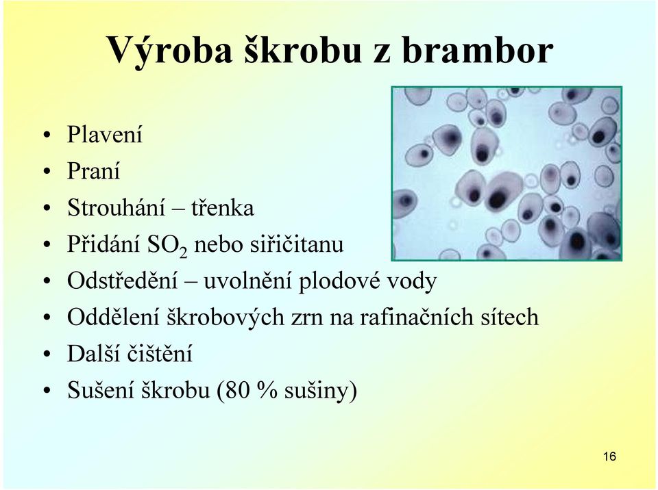 uvolnění plodové vody Oddělení škrobových zrn na