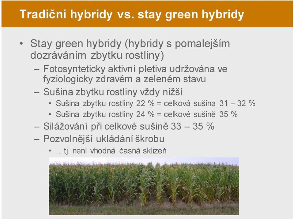 aktivní pletiva udržována ve fyziologicky zdravém a zeleném stavu Sušina zbytku rostliny vždy nižší