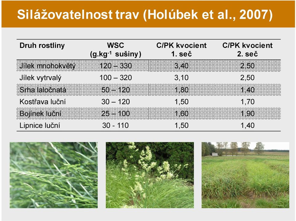 seč Jílek mnohokvětý 120 330 3,40 2,50 Jílek vytrvalý 100 320 3,10 2,50 Srha