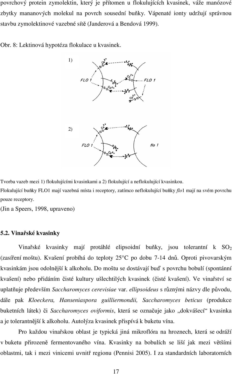 1) 2) Tvorba vazeb mezi 1) flokulujícími kvasinkami a 2) flokulující a neflokulující kvasinkou.