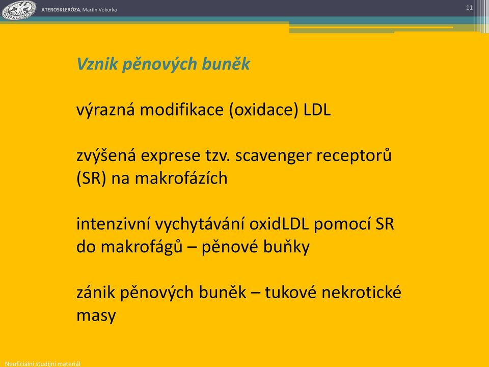 scavenger receptorů (SR) na makrofázích intenzivní