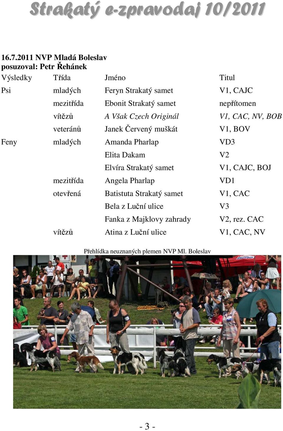 Pharlap VD3 Elita Dakam Elvíra Strakatý samet V2 mezitřída Angela Pharlap VD1 V1, CAJC, BOJ otevřená Batistuta Strakatý samet V1, CAC