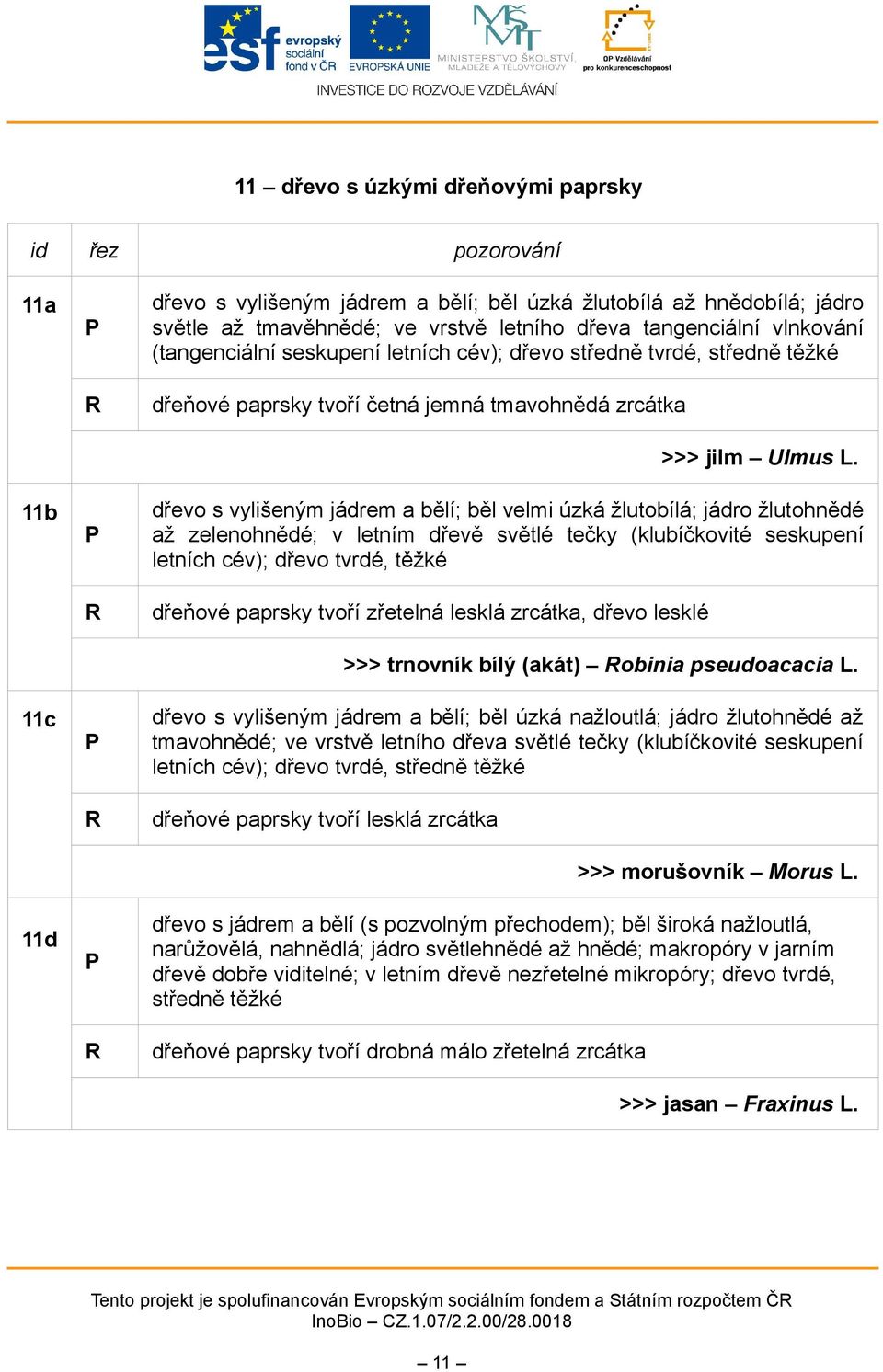 dřevo s vylišeným jádrem a bělí; běl velmi úzká žlutobílá; jádro žlutohnědé až zelenohnědé; v letním dřevě světlé tečky (klubíčkovité seskupení letních cév); dřevo tvrdé, těžké dřeňové paprsky tvoří