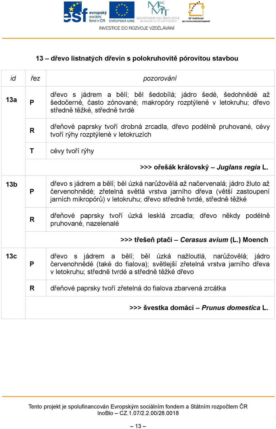 dřevo s jádrem a bělí; běl úzká narůžovělá až načervenalá; jádro žluto až červenohnědé; zřetelná světlá vrstva jarního dřeva (větší zastoupení jarních mikropórů) v letokruhu; dřevo středně tvrdé,