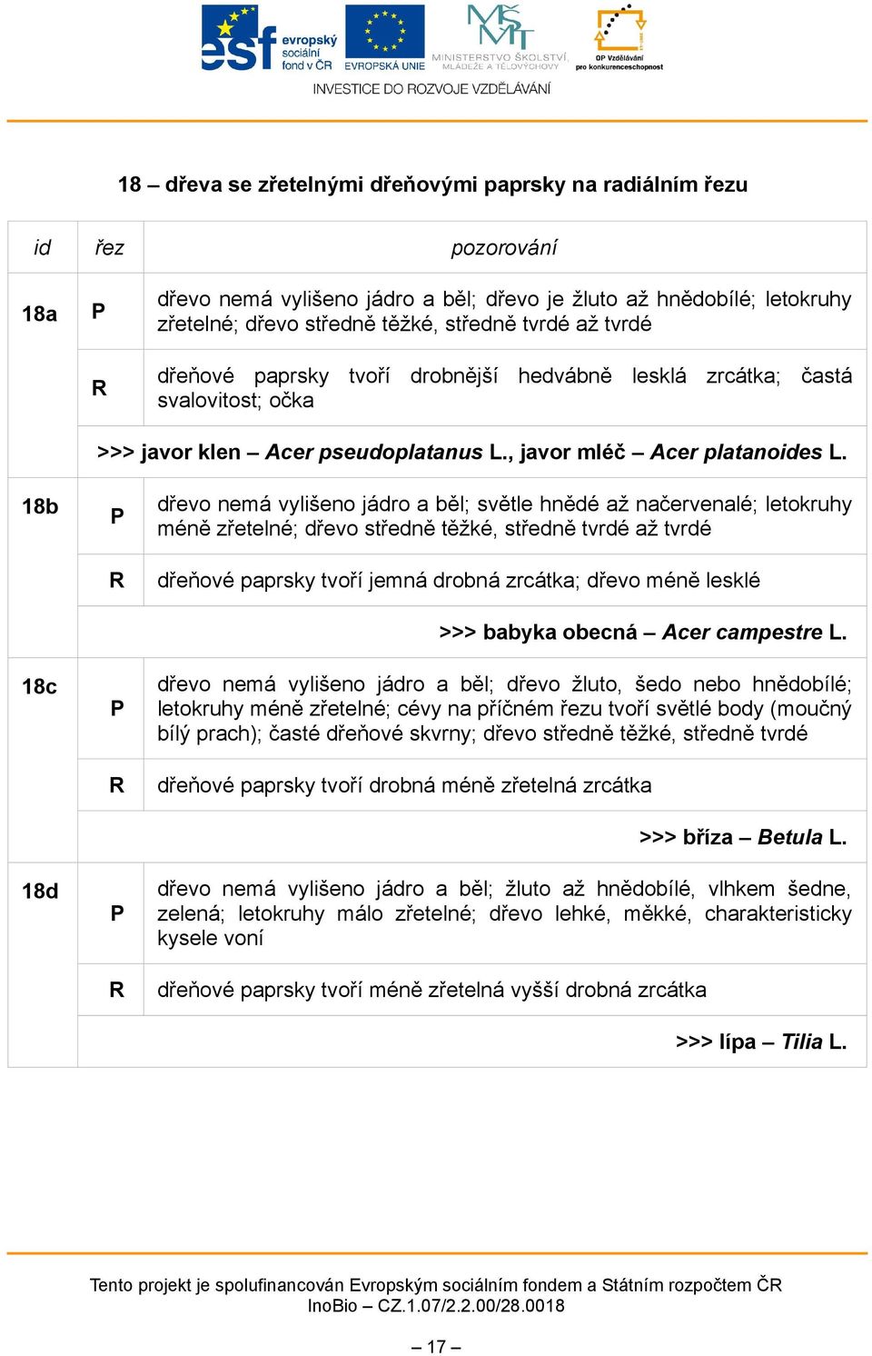 18b 18c 18d dřevo nemá vylišeno jádro a běl; světle hnědé až načervenalé; letokruhy méně zřetelné; dřevo středně těžké, středně tvrdé až tvrdé dřeňové paprsky tvoří jemná drobná zrcátka; dřevo méně