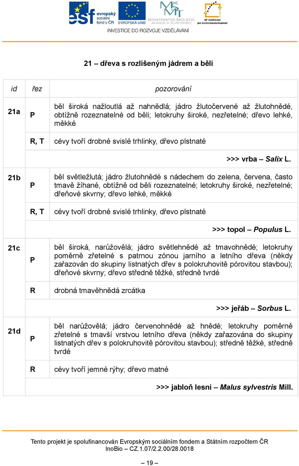 běl světležlutá; jádro žlutohnědé s nádechem do zelena, červena, často tmavě žíhané, obtížně od běli rozeznatelné; letokruhy široké, nezřetelné; dřeňové skvrny; dřevo lehké, měkké, T cévy tvoří