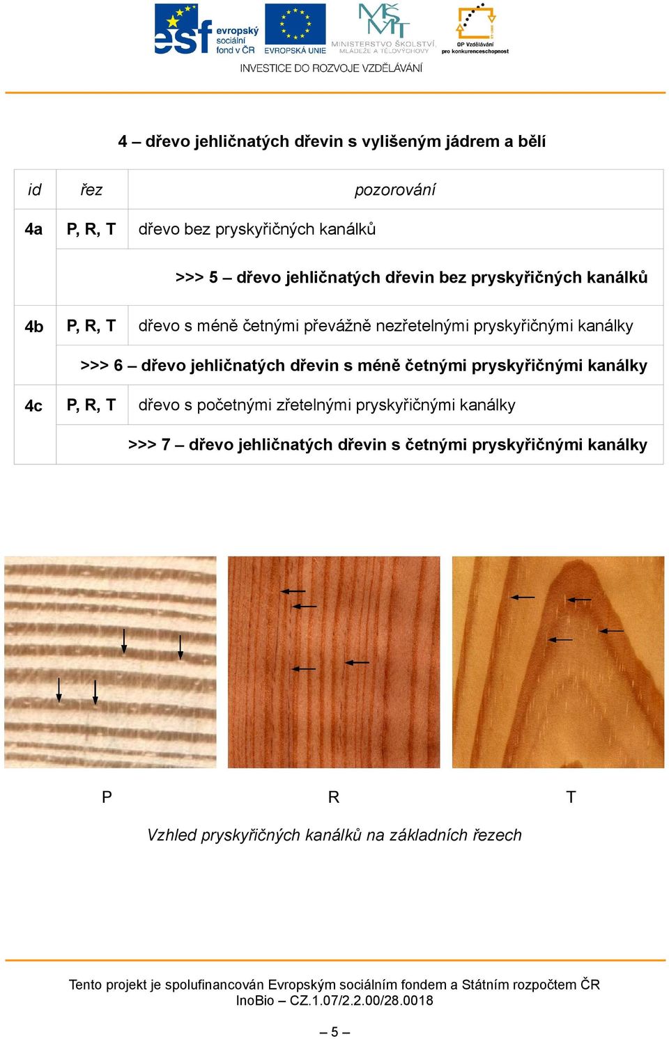 četnými pryskyřičnými kanálky 4c,, T dřevo s početnými zřetelnými pryskyřičnými kanálky >>> 7 dřevo jehličnatých dřevin s četnými