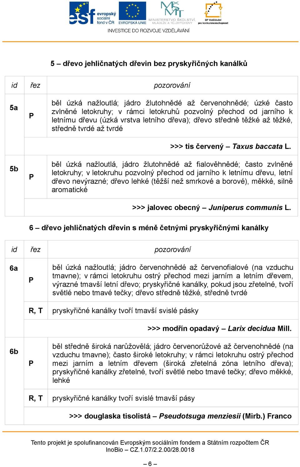 běl úzká nažloutlá, jádro žlutohnědé až fialověhnědé; často zvlněné letokruhy; v letokruhu pozvolný přechod od jarního k letnímu dřevu, letní dřevo nevýrazné; dřevo lehké (těžší než smrkové a