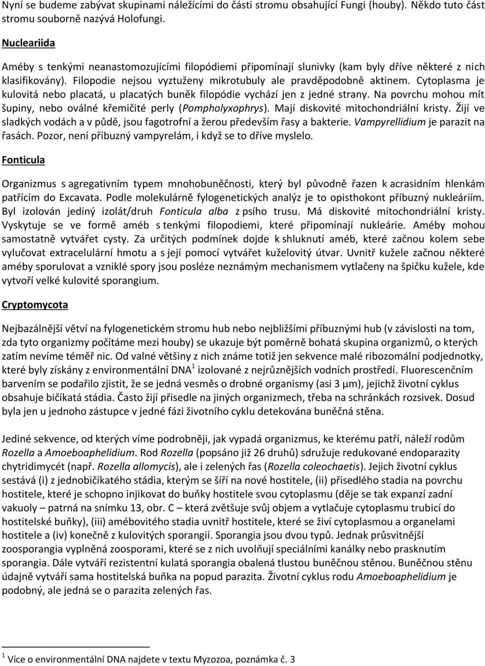 Cytoplasma je kulovitá nebo placatá, u placatých buněk filopódie vychází jen z jedné strany. Na povrchu mohou mít šupiny, nebo oválné křemičité perly (Pompholyxophrys).