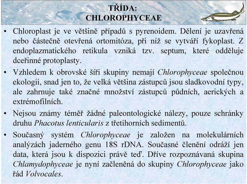 Vzhledem k obrovské šíři skupiny nemají Chlorophyceae společnou ekologii, snad jen to, že velká většina zástupců jsou sladkovodní typy, ale zahrnuje také značné množství zástupců půdních, aerických a