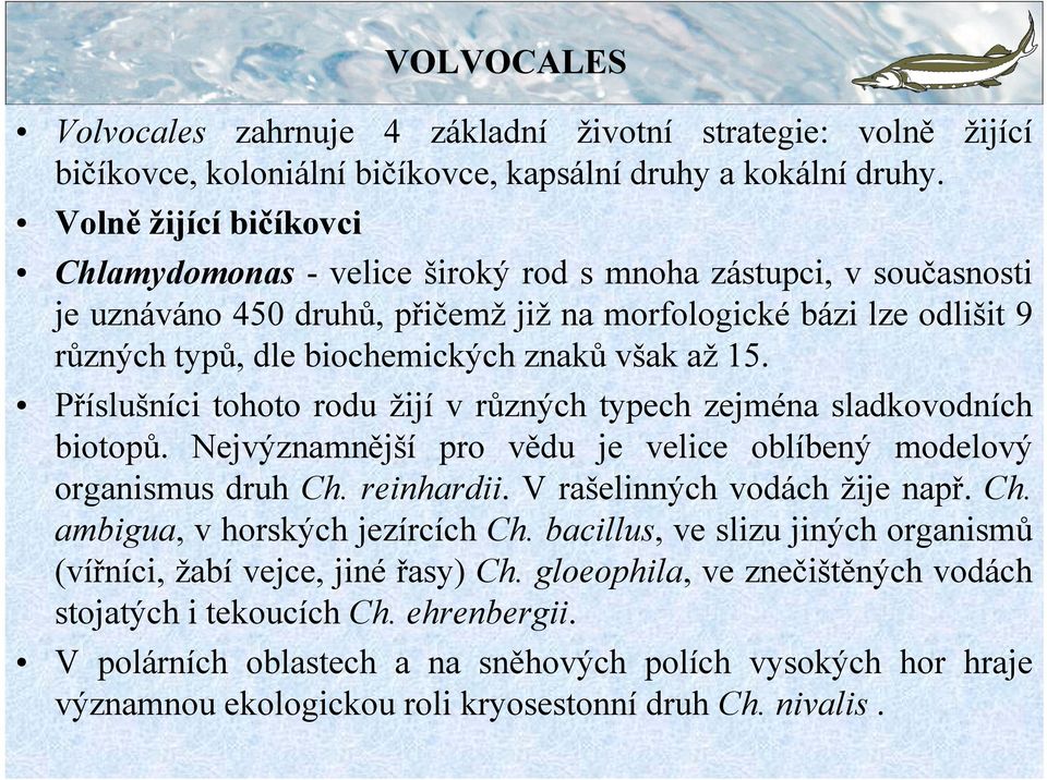 však až 15. Příslušníci tohoto rodu žijí v různých typech zejména sladkovodních biotopů. Nejvýznamnější pro vědu je velice oblíbený modelový organismus druh Ch. reinhardii.