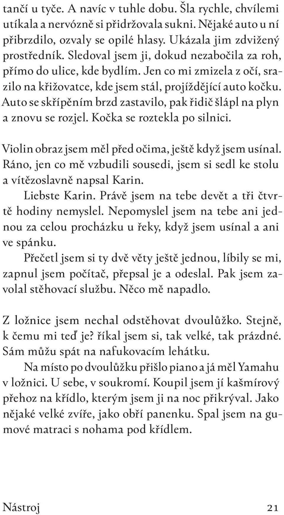 Auto se skřípěním brzd zastavilo, pak řidič šlápl na plyn a znovu se rozjel. Kočka se roztekla po silnici. Violin obraz jsem měl před očima, ještě když jsem usínal.