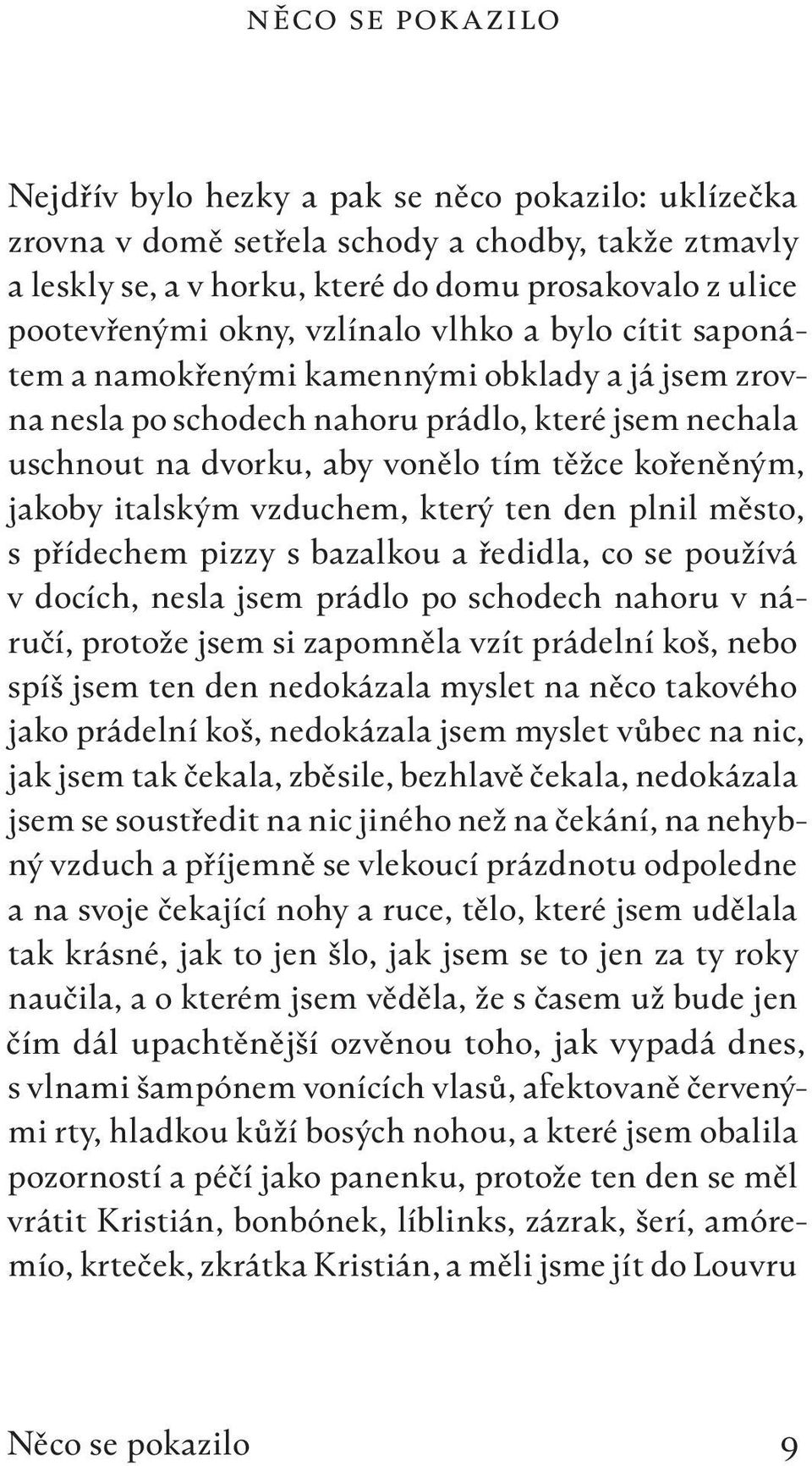 italským vzduchem, který ten den plnil město, s přídechem pizzy s bazalkou a ředidla, co se používá v docích, nesla jsem prádlo po schodech nahoru v náručí, protože jsem si zapomněla vzít prádelní