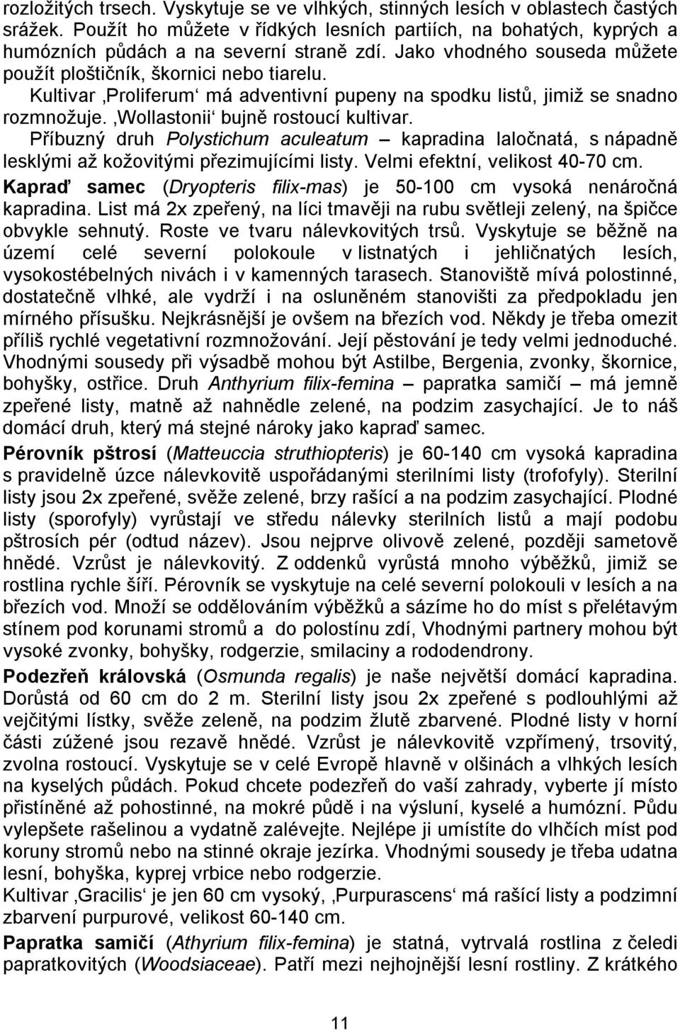 Příbuzný druh Polystichum aculeatum kapradina laločnatá, s nápadně lesklými až kožovitými přezimujícími listy. Velmi efektní, velikost 40-70 cm.