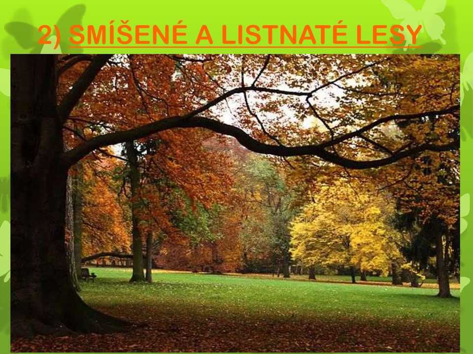 LISTNATÉ