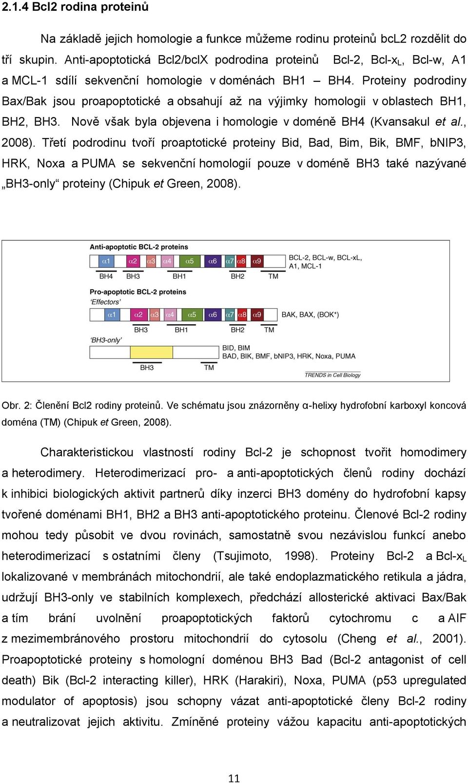 Proteiny podrodiny Bax/Bak jsou proapoptotické a obsahují až na výjimky homologii v oblastech BH1, BH2, BH3. Nově však byla objevena i homologie v doméně BH4 (Kvansakul et al., 2008).