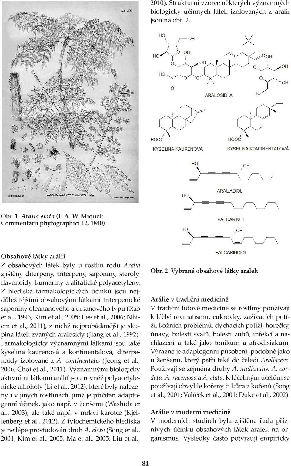polyacetyleny. Z hlediska farmakologických účinků jsou nejdůležitějšími obsahovými látkami triterpenické saponiny oleananového a ursanového typu (Rao et al., 1996; Kim et al., 2005; Lee et al.
