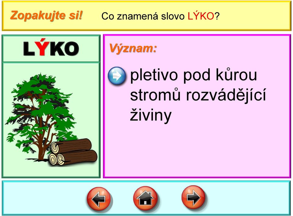 LÝKO Význam: pletivo