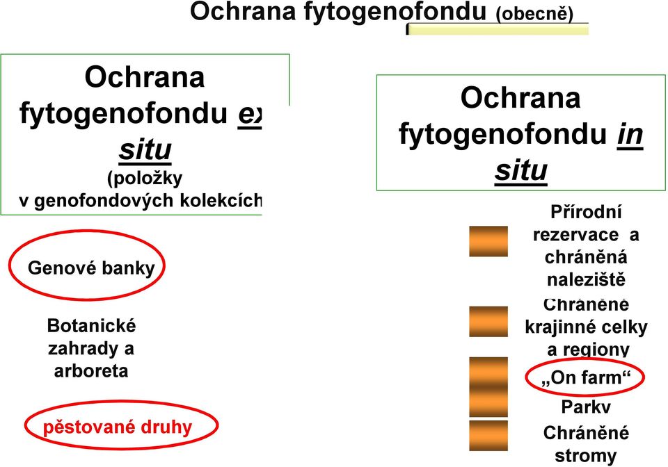 pěstované druhy Ochrana fytogenofondu in situ Přírodní rezervace a