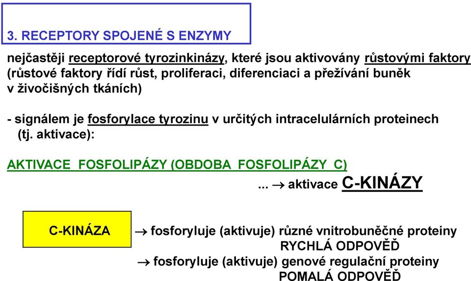 intracelulárních proteinech (tj. aktivace): AKTIVACE FOSFOLIPÁZY (OBDOBA FOSFOLIPÁZY C).