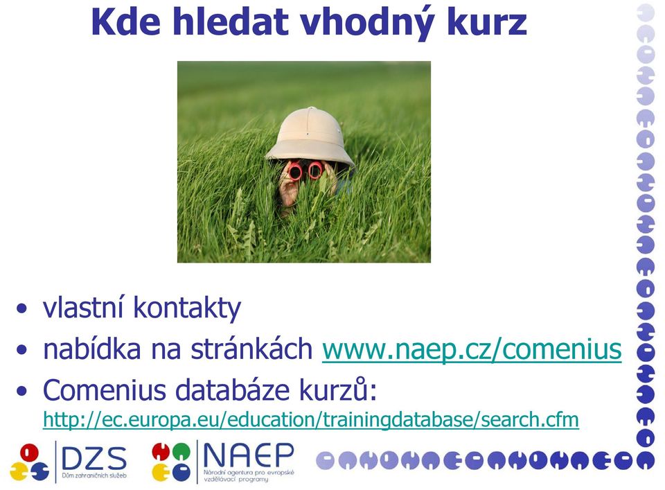 cz/comenius Comenius databáze kurzů: