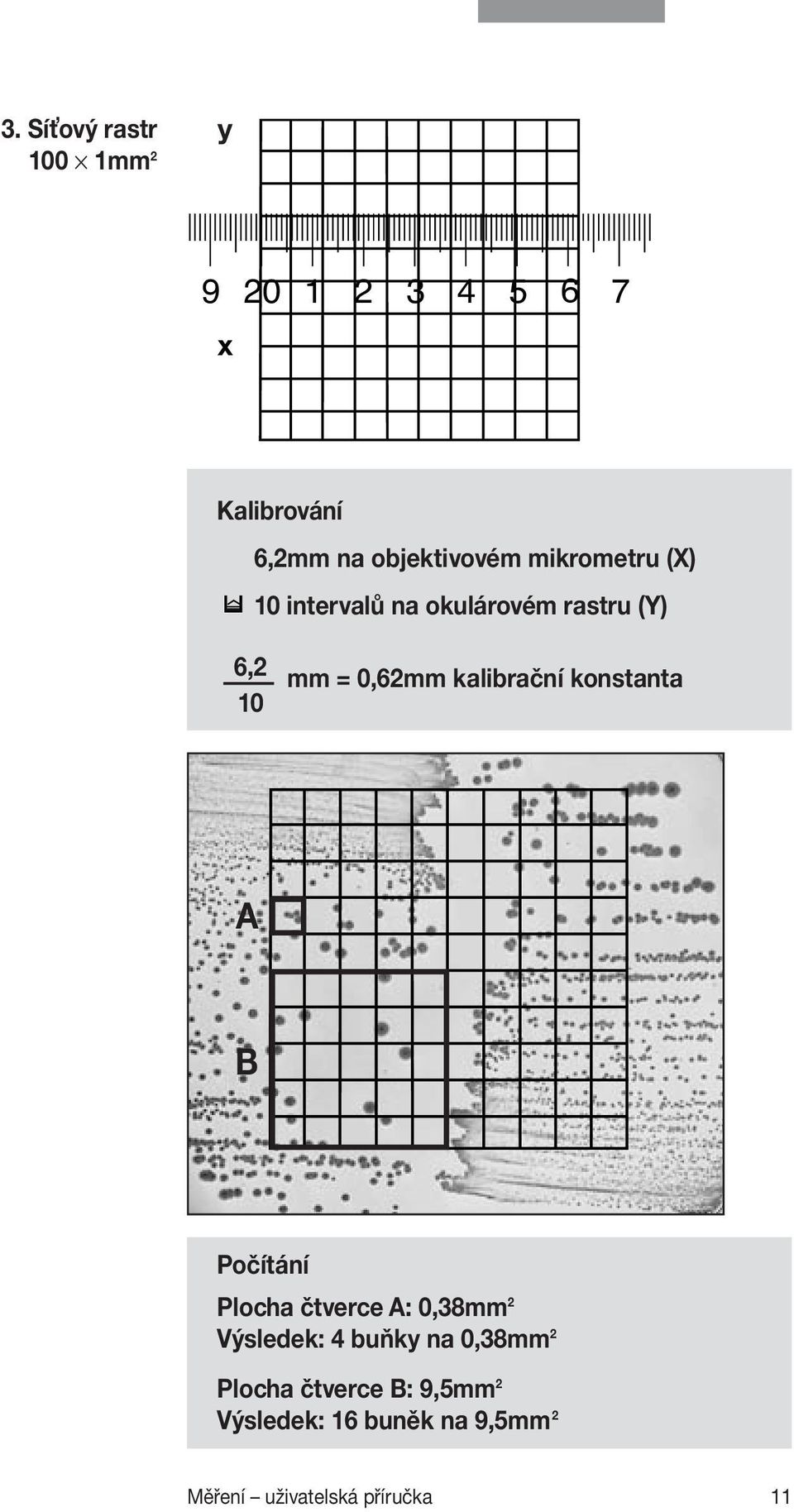 konstanta A B Počítání Plocha čtverce A: 0,38mm 2 Výsledek: 4 buňky na 0,38mm 2