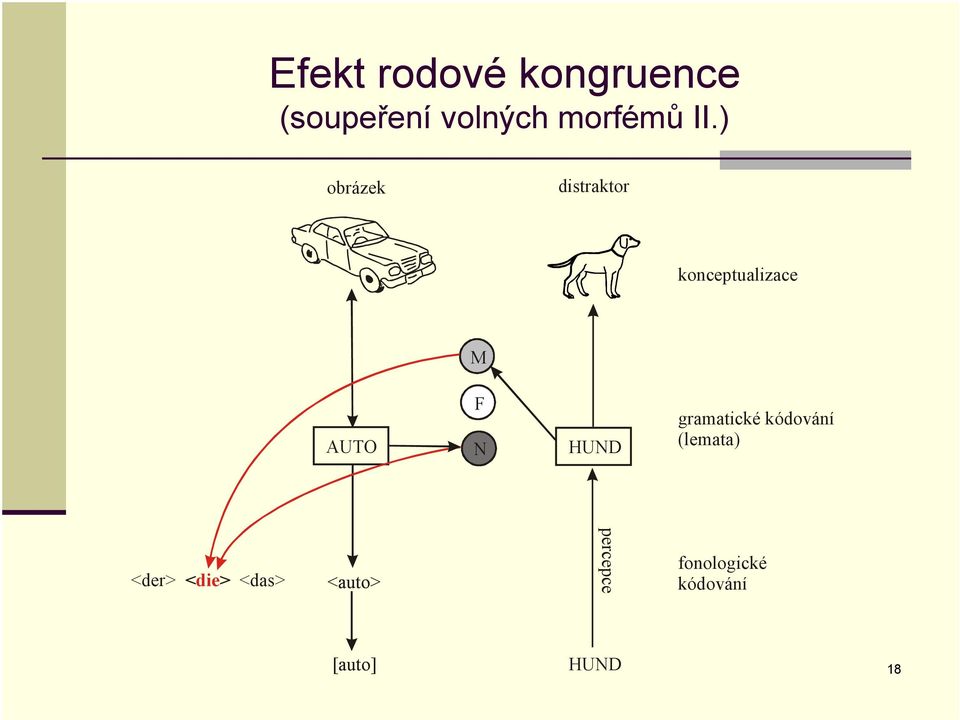 ) obrázek distraktor konceptualizace M AUTO F N