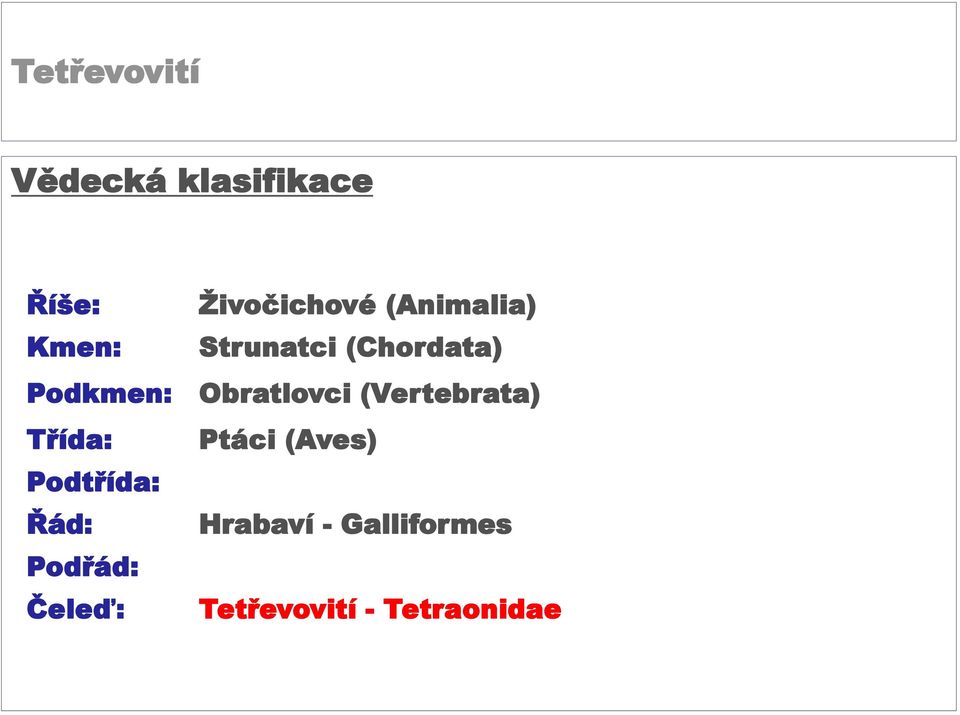 Obratlovci (Vertebrata) Třída: Ptáci (Aves) Podtřída: