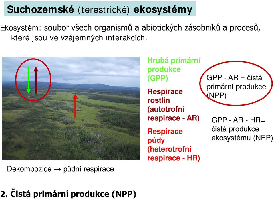 Dekompozice půdní respirace Hrubá primární produkce (GPP) Respirace rostlin (autotrofní respirace - AR)
