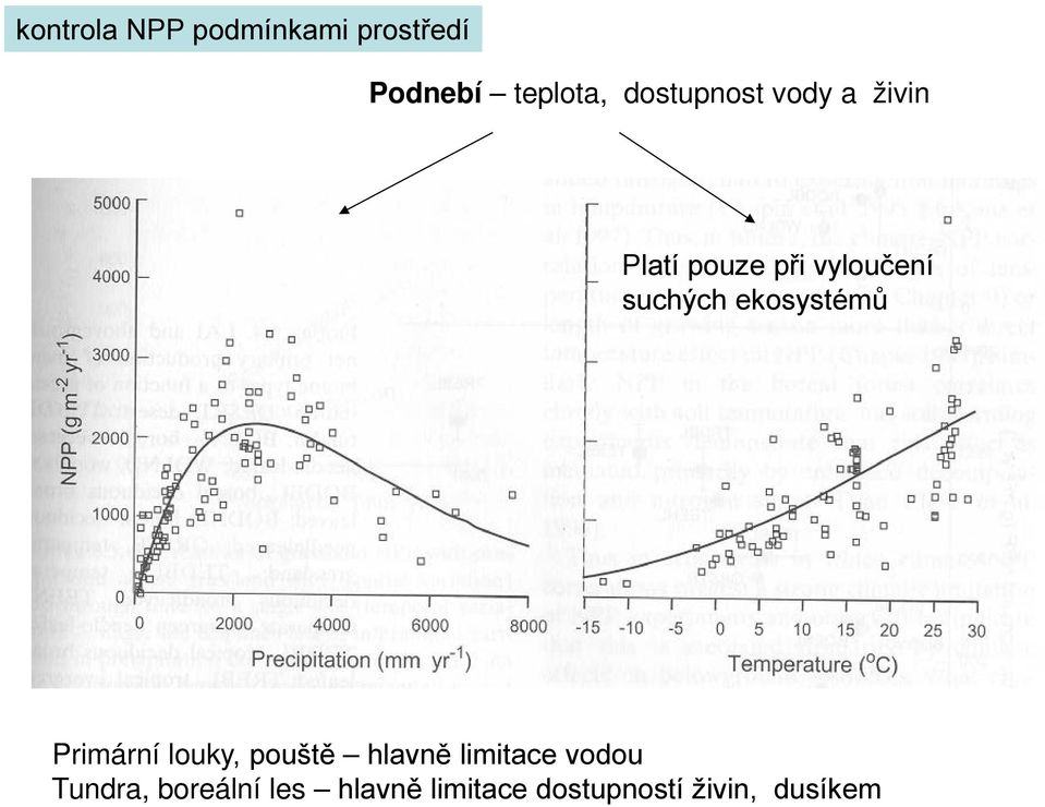 suchých ekosystémů Primární louky, pouště hlavně