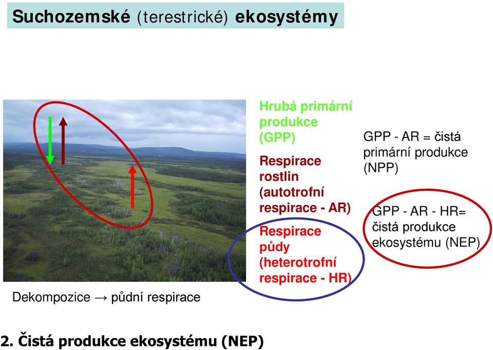 Respirace půdy (heterotrofní respirace - HR) GPP - AR = čistá primární