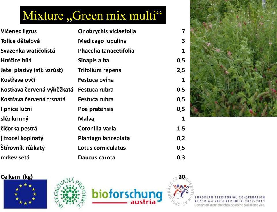 vzrůst) Trifolium repens 2,5 Kostřava ovčí Festuca ovina 1 Kostřava červená výběžkatá Festuca rubra 0,5 Kostřava červená trsnatá Festuca