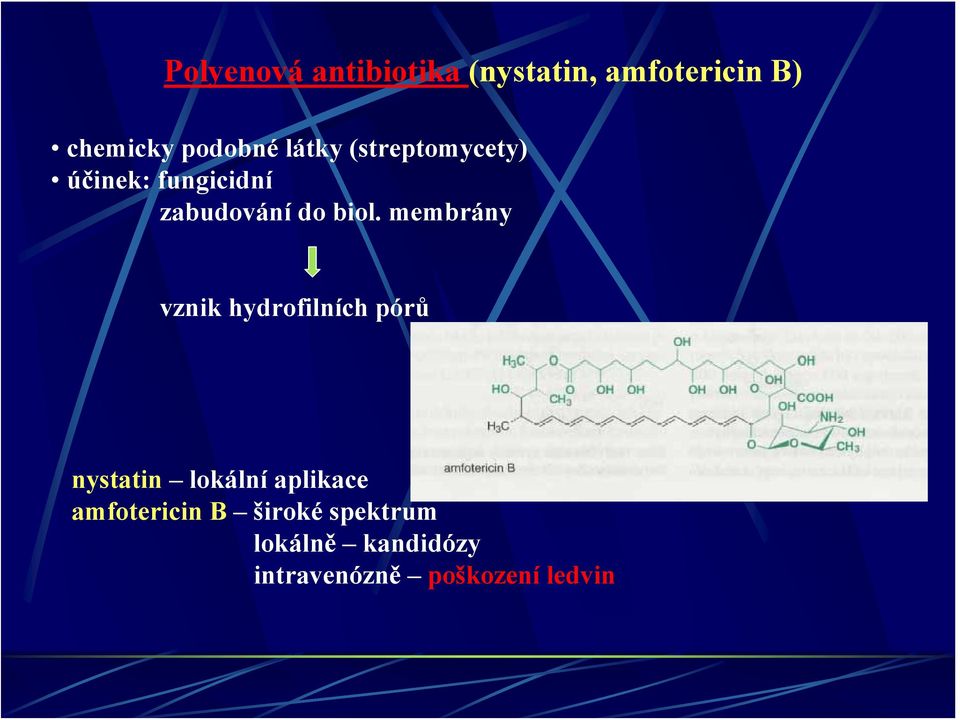 membrány vznik hydrofilních pórů nystatin lokální aplikace