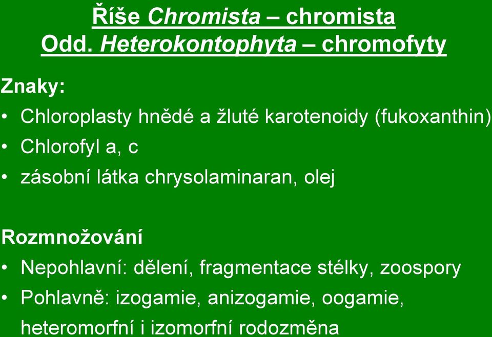 (fukoxanthin) Chlorofyl a, c zásobní látka chrysolaminaran, olej