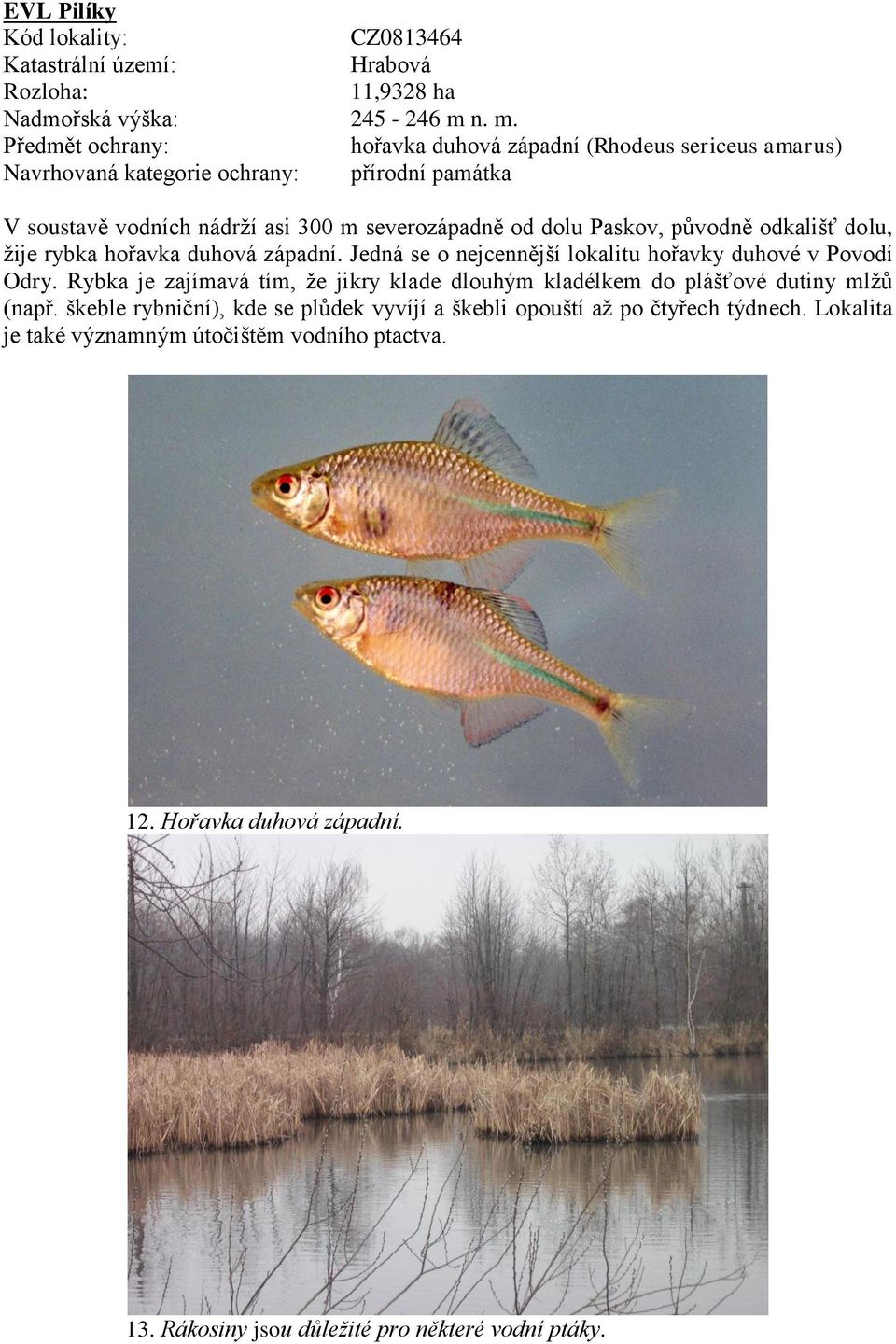 Paskov, původně odkališť dolu, žije rybka hořavka duhová západní. Jedná se o nejcennější lokalitu hořavky duhové v Povodí Odry.