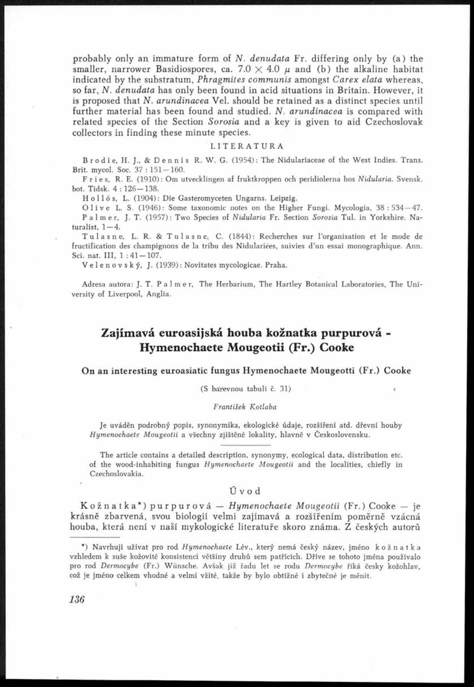 However, it is proposed that N. aru n din acea Vel. should be retained as a distinct species until further m aterial has been found and studied. N. aru n d in acea is compared with related species of the Section S orosia and a key is given to aid Czechoslovak collectors in finding these minute species.