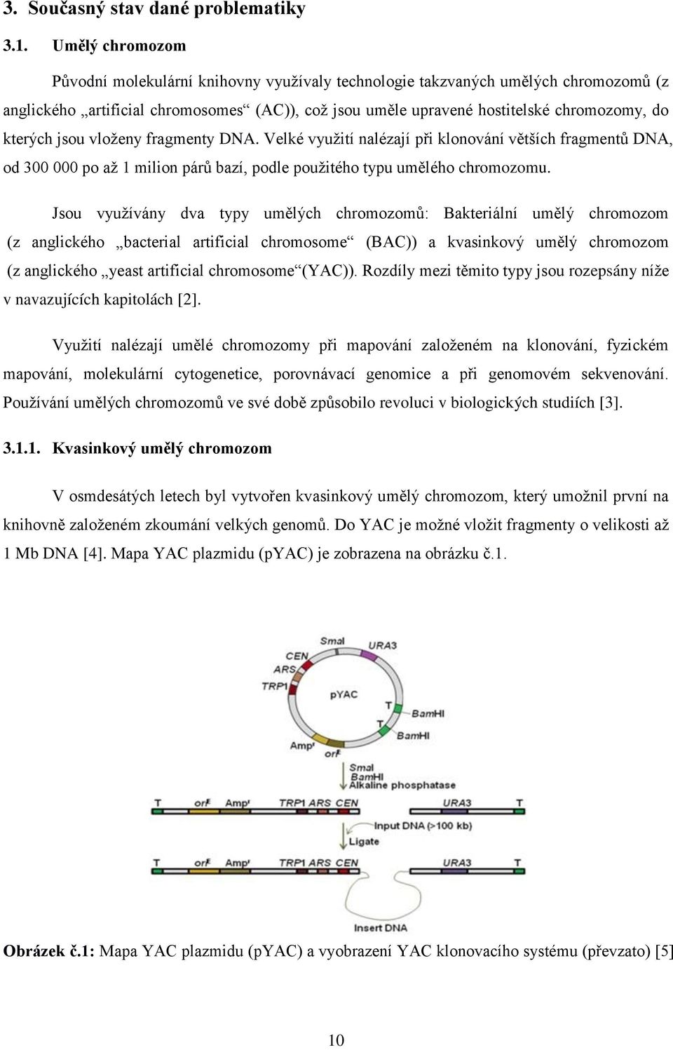 jsou vloženy fragmenty DNA. Velké využití nalézají při klonování větších fragmentů DNA, od 300 000 po až 1 milion párů bazí, podle použitého typu umělého chromozomu.