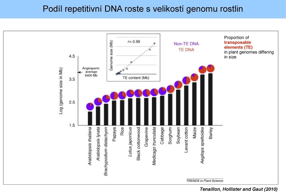 elements (TE) in plant genomes differing